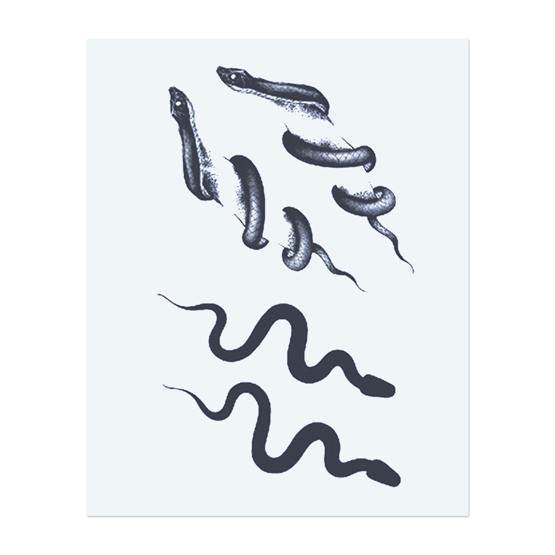 Schlangen, die sich in fließenden, sich windenden Mustern bewegen. Das Design zeigt ihre geschmeidigen, sich windenden Formen und symbolisiert Transformation, Gefahr und Weisheit. Das Tattoo fängt die mysteriöse und kraftvolle Essenz der Schlangen ein.