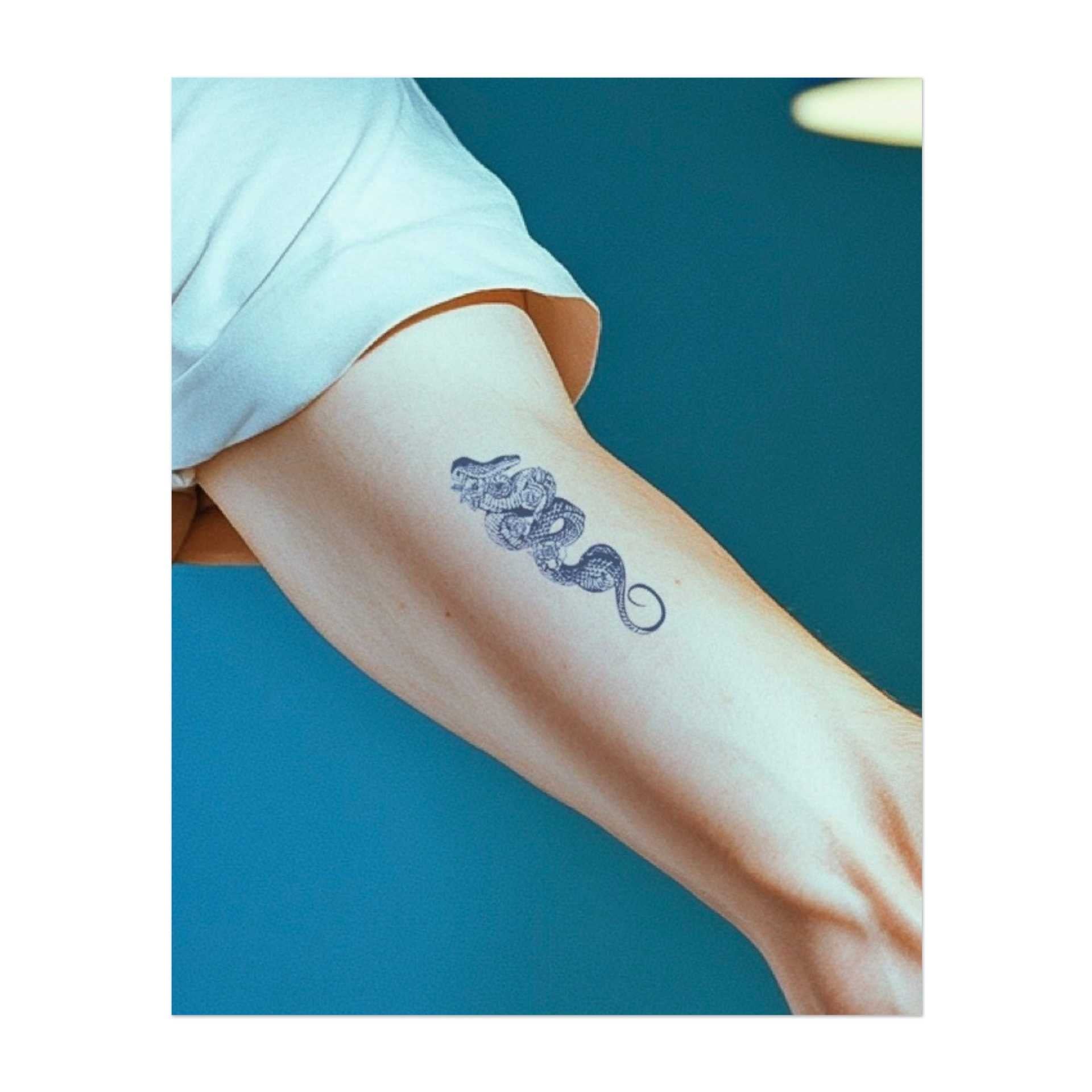 Eine detaillierte Schlange, die sich mit kunstvollen Mustern windet. Dieses Tattoo symbolisiert Weisheit, Transformation und Schutz, perfekt für diejenigen, die persönliches Wachstum und die Stärke durch Veränderung schätzen.